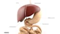 do 2d 3d medical, surgical, and healthcare animations with device and animation
