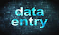 do bulk excel data entry copy paste and data professionally