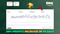 audit, setup, and optimize amazon PPC sponsored ads expertly
