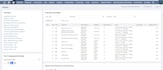 develop and fix netsuite suitescript, restlet, workflows, and customizations