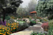 draw a backyard landscape design, patio, architecture, 2d rendering