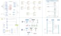 do uml diagram, class, use case, srs, erd, dfd for software project within 12 hr