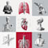 draw anatomy and medical vector illustration