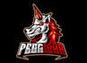design a proffesional unicorn logo in short time