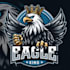 design high quality eagle mascot logo with t shirt design