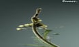 realistic 3d plant animation 3d flower animation 3d cgi animation 3d plant