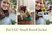 create ugc pet ads for tiktok, facebook, or instagram