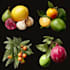 draw realistic plants, vegetables, fruits