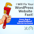 fix any wordpress issue or error fast
