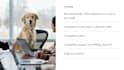 design powerpoint presentation and pitch deck