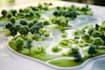 design 2d master plan, site plan, landscape architect, pool garden design