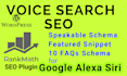 do voice search SEO optimization for post, page, or product