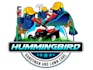 design proffesional hummingbird logo