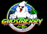 design proffesional ghostberry logo design