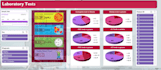 create professional interactive excel dashboards from your data