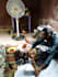 do detailed career psychic reading using ifa divination