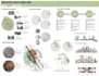 create professional architecture posters, diagrams and  maps
