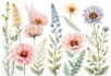 create a botanical watercolor illustration