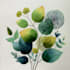 draw animal and botanical illustrations