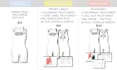 create professional technical flat sketches and tech sheets