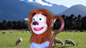 have scotty the wolf create a custom puppet video