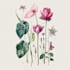 line art illustrations, botanical flowers, plants