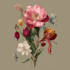 draw digital botanical illustrations of florals, plants,