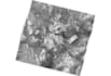 perform any gis and sar data processing and analysis