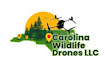 design excellent valley wildlife logo