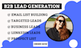 do targeted b2b lead generation, business lead, linkedin leads and prospect list