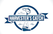make an modern fish logo design