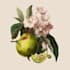 illustrate best botanical illustration