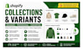 setup and organise a smart manual shopify variants, tags and collections