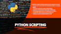 write python scripts for web scraping, automation, and python tasks