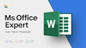 do professional ms office work in excel word and powerpoint