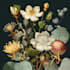 draw botanical vector illustration of plants