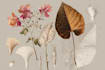 paint botanical and scientific illustrations