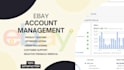 manage ebay seller account dropshipping or stock model