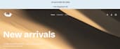 create shopify dropshipping store design