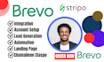 setup brevo email automation stripo chamaileon claspo