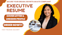 write your executive senior director vp svp or CEO resume, CV and linkedin opt