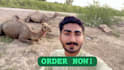 wish funny happy birthday video
