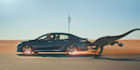 add cgi animal to footage, cgi and vfx effects, cgi video editing compositing