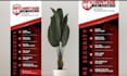 do certificate design, gift certificate, certificate award