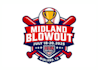 design professional baseball logo in 24 hours
