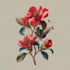 draw animal and botanical illustrations