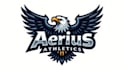 design eagle mascot logo with express delivery