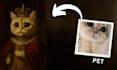 draw your pet or you in 5 unique portrait styles