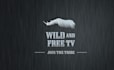 do modern professional rhino logo design
