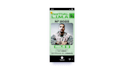 design cute social media graphics